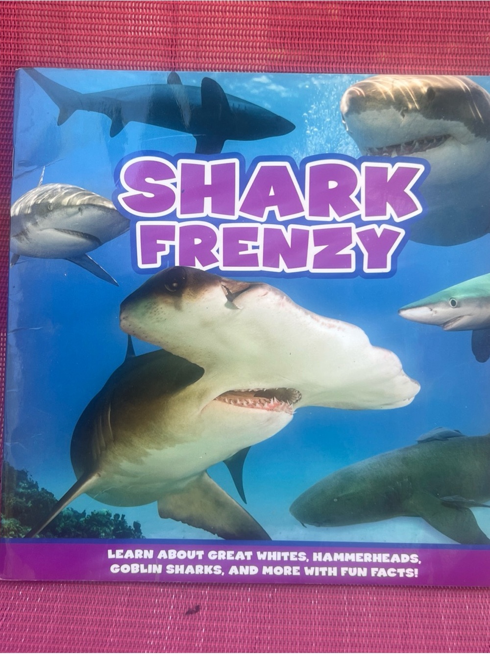 Shark Frenzy Children's Fish Book - Purple